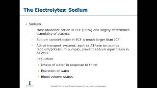 Clinical Chemistry: Electrolytes screenshot 4