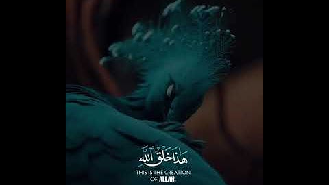 تلاوة خاشعة للشيخ ياسر الدوسري { هذا خلق الله } 🌹💗🌹