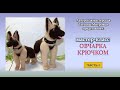 Овчарка крючком(1 часть)  Sheepdog crocheted (р.1)