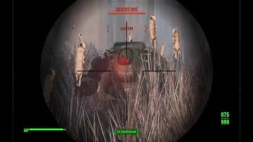 Killing a sentry with 3 shots