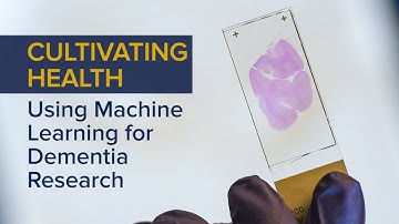 Machine Learning Enhances Dementia Research - Cultivating Health
