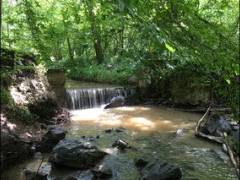 La rivière du Formans retrouve son lit