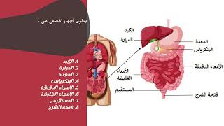 السمنة و أمراض الجهاز الهضمي