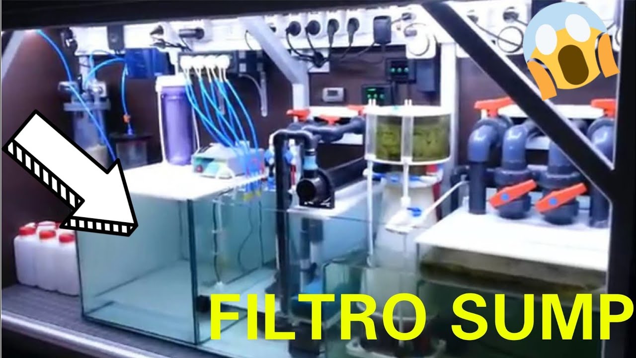COMO DISEÑAR UN FILTRO SUMP PARA ACUARIO MARINO: GUIA COMPLETA 