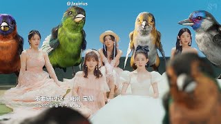 【中韓字幕】Red Velvet - Feel My Rhythm (中字Mv)