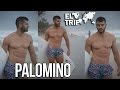 EL TRIP - PALOMINO