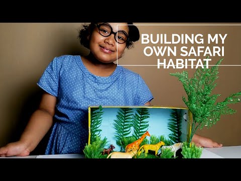 DIY : 나만의 정글 사파리 서식지 프로젝트 만들기