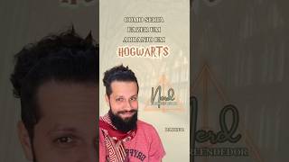 Como um nerd viciado em harry potter trabalha