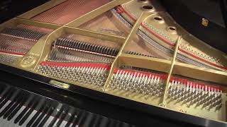 Yamaha G1 53 Baby Grand Piano Satin Ebony (#3690092)
Quite possibly the ideal professional-grade baby grand for the home. Rare satin ebony cabinet.
Buy now at https://cpno.us/acy4
Nationwide Delivery: Our specialty, safe and affordable.
Financing available.
Caruso Piano Gallery
New Englands Piano Destination :: Since 1929.
Meet the Team :: http://youtu.be/6cEIzesm-5I
http://carusopianos.com
800-264-6614
info@carusopianos.com Yamaha G1 53 Baby Grand Piano Satin Ebony (#3690092)