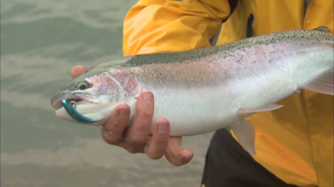 Kwik Fishing for Steelhead, Niagara River ON Csf 24 24 01 - YouTube