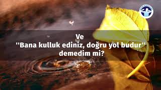 Hazza Al Balushi - Yâsi̇n Suresi 55-70