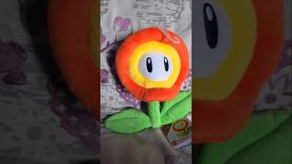POV you get a fireflower Mario all star plush in 2016