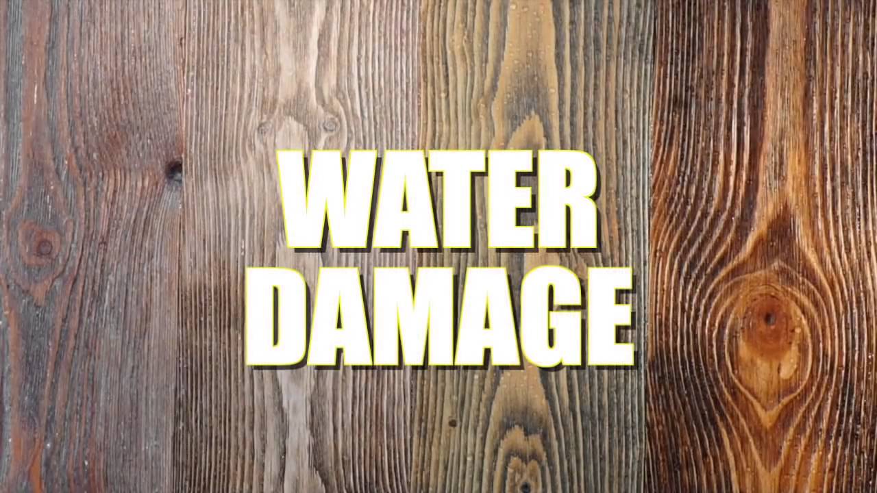 Gutter Shield (WV) Presents Patented LeafSlugger Gutter Guard