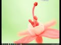 Windows: Sync files between source and destination folders in Windows using Copywhiz