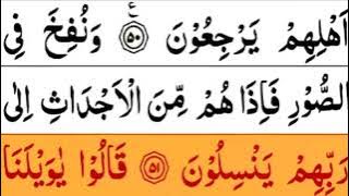 Surah yasein full viral #qurantilawat 