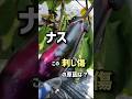 ナス、この刺し傷の原因は？