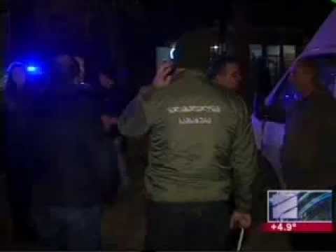 ზედემხედველობის სამსახურმა წიფლის ხის უკანონო ჭრის ფაქტი გამოავლინა