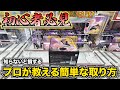 【知らないとガチで散財する】大きい景品でも狙い方さえ分かれば取れます!!【クレーンゲーム・UFOキャッチャー】
