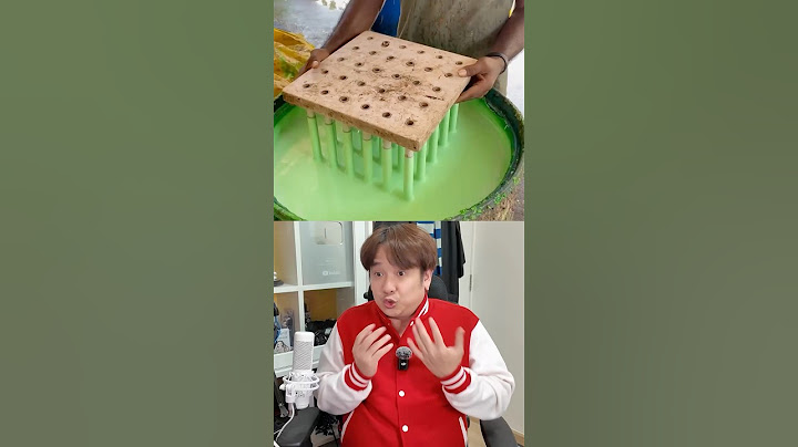 ทุกคนต้องไม่เชื่อแน่ๆ ว่านี่คือสิ่งที่เราใช้ทุกวัน #negi #factory #ShopeexYouTubeShoppingCCB