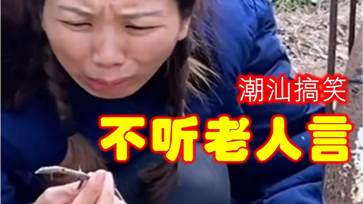 【潮汕搞笑】 不聽老人言 吃虧在眼前  ( Teochew Comedy  แต้จิ๋ว ) - 天天要聞