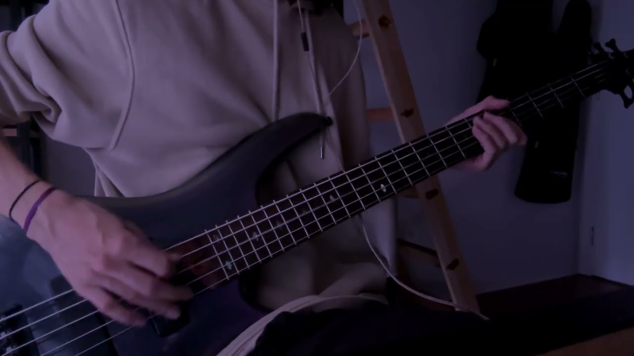 The Pot - Tool - Bass Cover