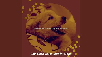 Pulsating Backdrops for Sweet Dogs