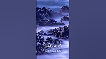 تلاوة خاشعة تُلامس القلوب | أحمد النفيس بصوت يملأ القلب نورًا 🌿📖
