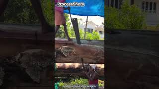 Traditional Log Sawing Process for Timber Boards #worker #process