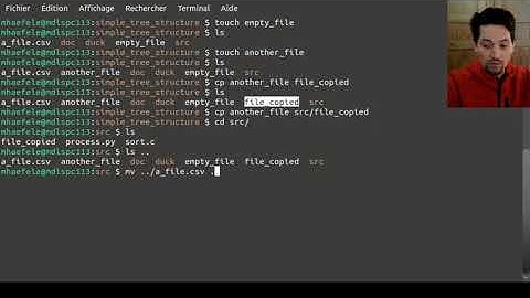 touch, cp, mv, mkdir commands
