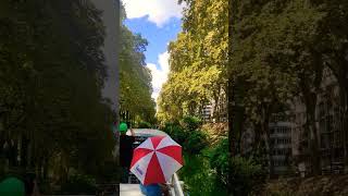 The beautiful boat trip in Toulouse ⛵ France💙🇨🇵❤️ #shortsvideo #shorts #short #toulouse #boat #life