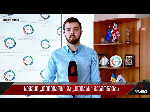 სემეკი „თელმიკოსა“ და „თელასს“ შეამოწმებს