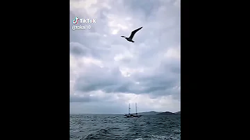 تركيا الغيوم البحر 