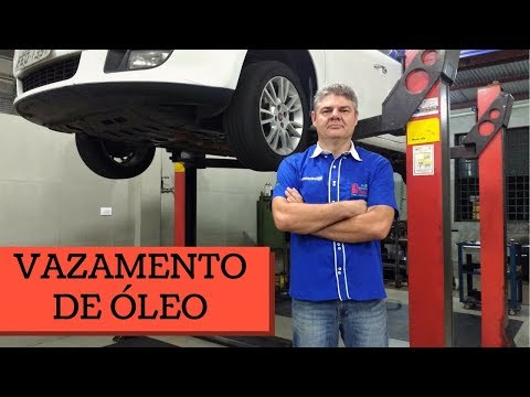 COMO IDENTIFICAR CADA TIPO DE VAZAMENTO DE ÓLEO | Auto Mecânica Petineli