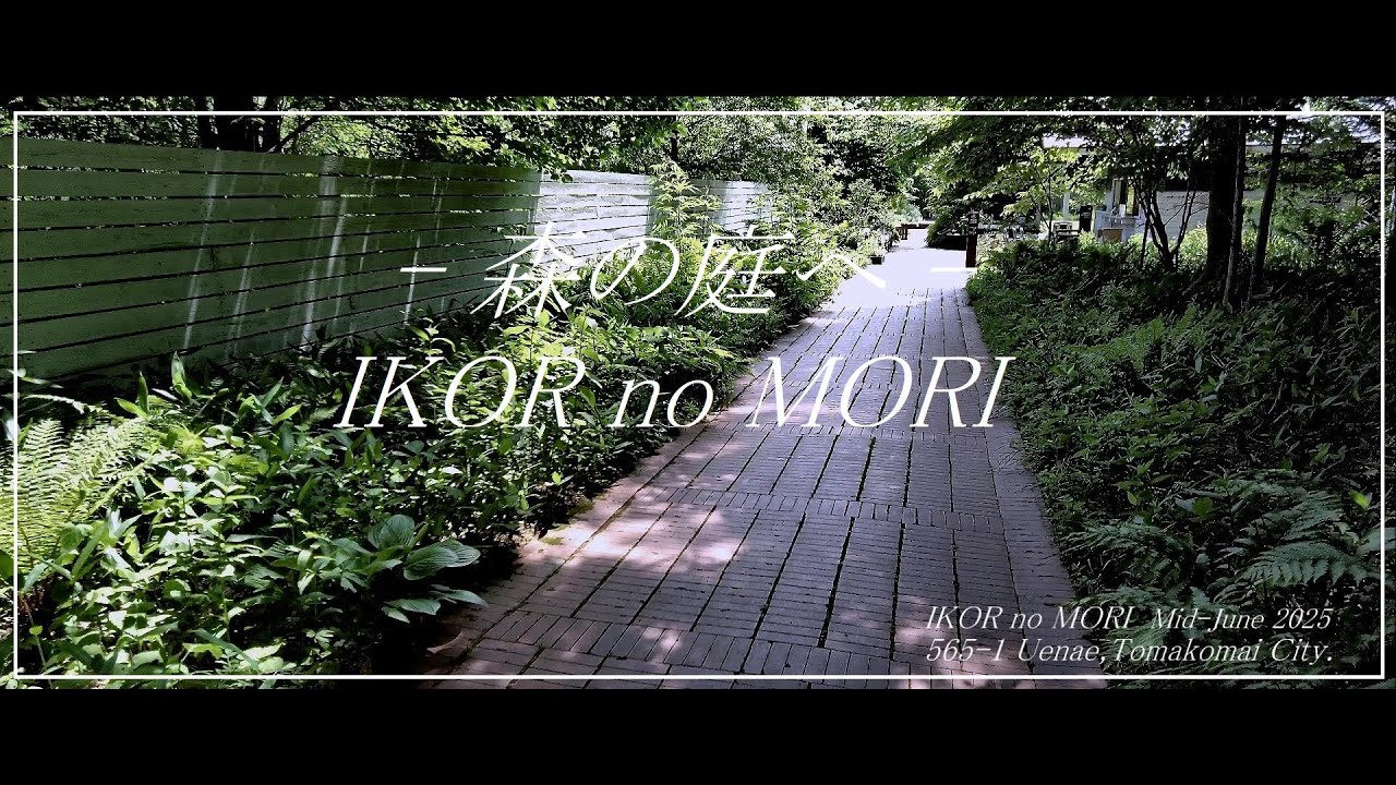 【４K】森の庭へ・・「イコロの森」