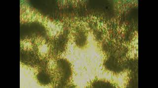 20101227 024033