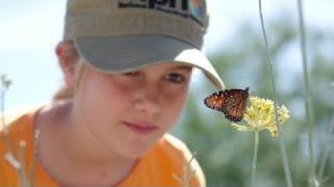 Learn how to be a citizen scientist through Nature