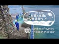 360°VR 牡蠣の水揚げVR体験ツアー  | マルイチ商店