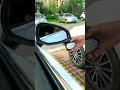 Video Image