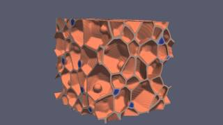 3D grain growth in a porous solid