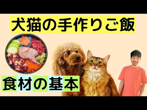 犬猫の手作りご飯の考え方【食材の基本編】 thumbnail