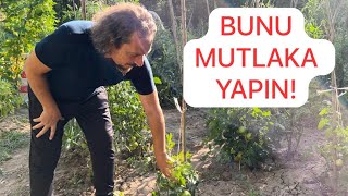 Bi̇zi̇ Yillardir Böyle Kandirdilar
