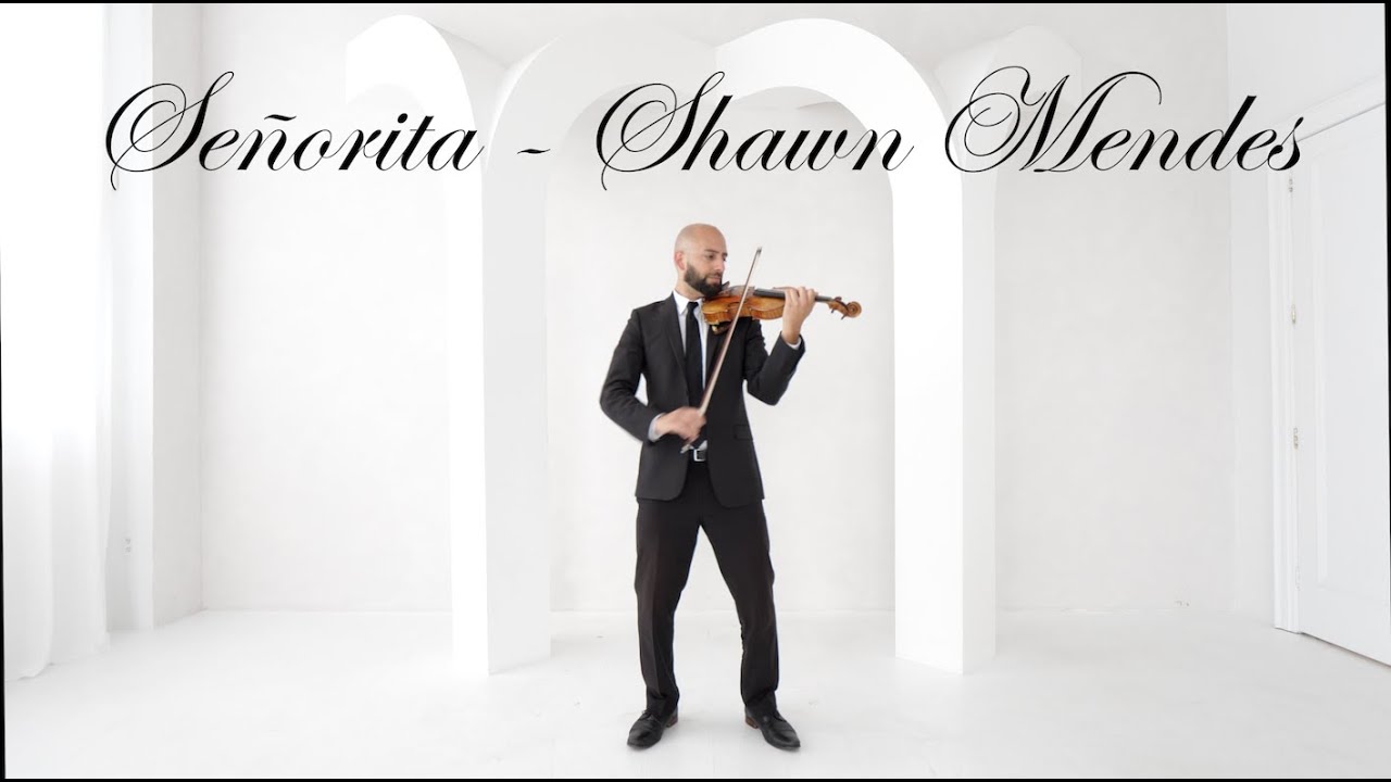 Señorita - Shawn Mendes | Solo Violin & Backing Track