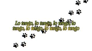 HAVHAVHAV/Lvbel C5/ subtitulado al español 