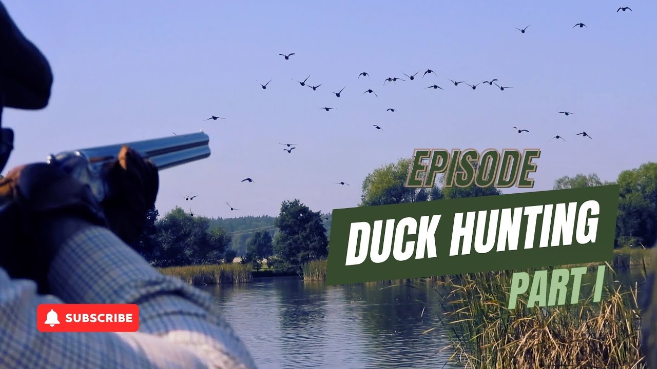 Duck Hunting - YouTube
