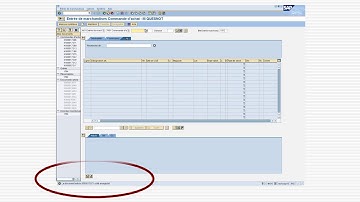 GU SAP ECC Enregistrement des entrées de marchandises pour des articles en consignation