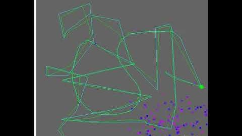 particle filter mouse tracking