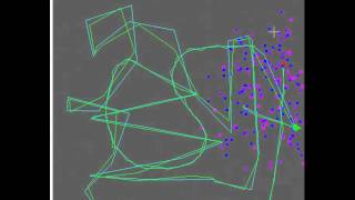 particle filter mouse tracking