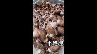 【鮨見習いの仕事】　ホタルイカの下処理　#shorts