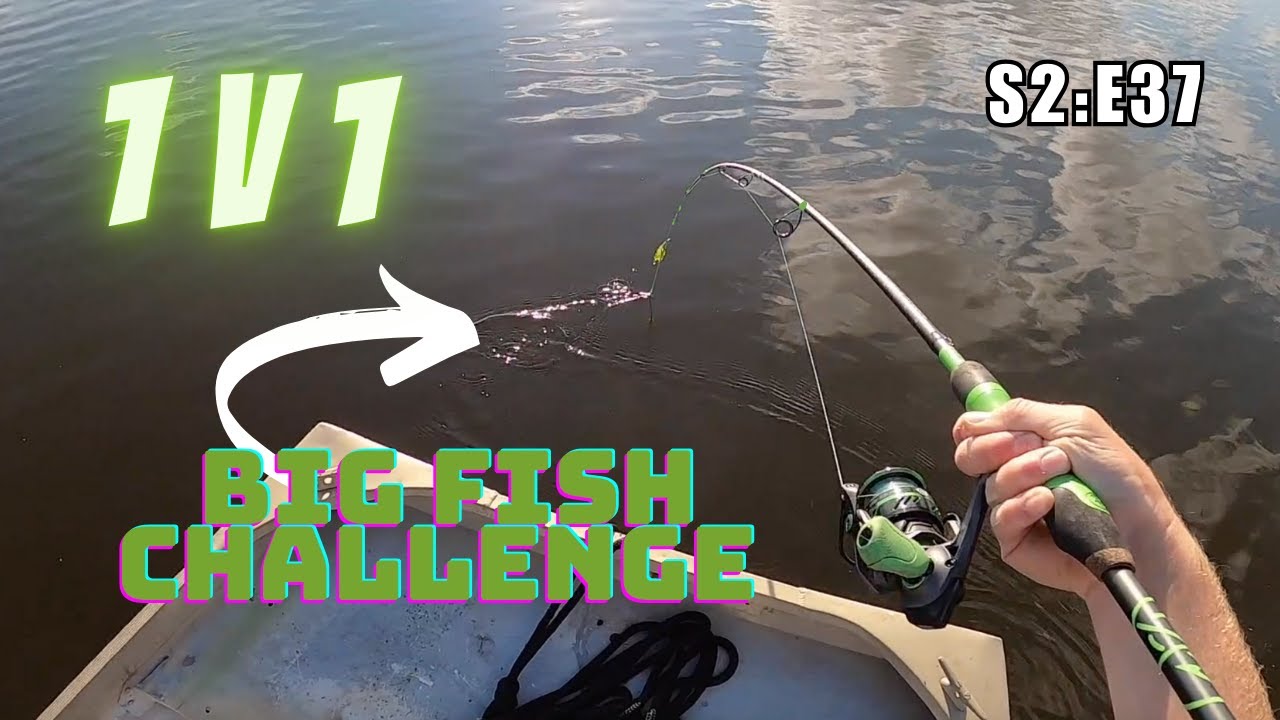 1v1 BIG FISH Challenge – Who Will Win?
