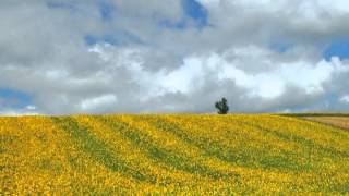 Funeral Messages - Find the Perfect Words to Pay Tribute to your Loved One